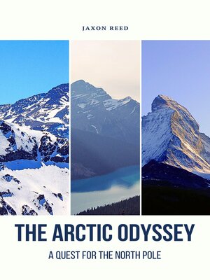 cover image of The Arctic Odyssey